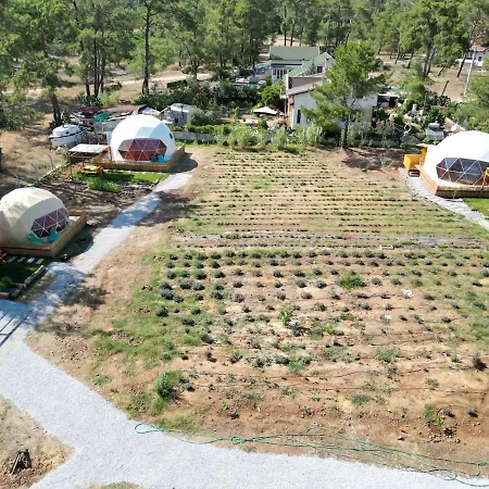 Pavlonyaguestfarm Dome House 3